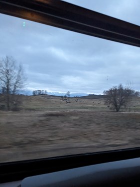 Biwak ZZ w Szklarskiej Porębie - luty 2024